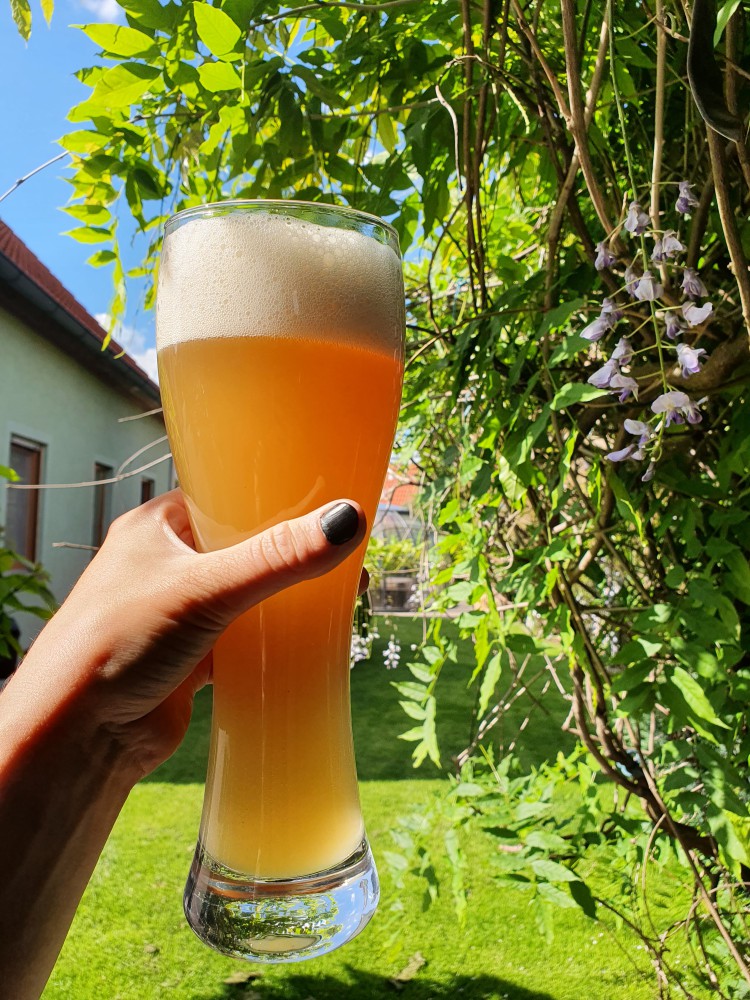Ritter Bier Weisser Franke